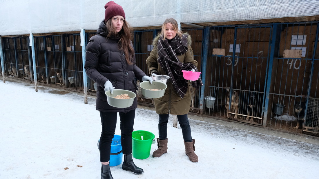 Анастасия Горячева и Алина Чалая организуют питание собак