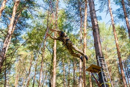 Прыжки на высоте в 10 м.